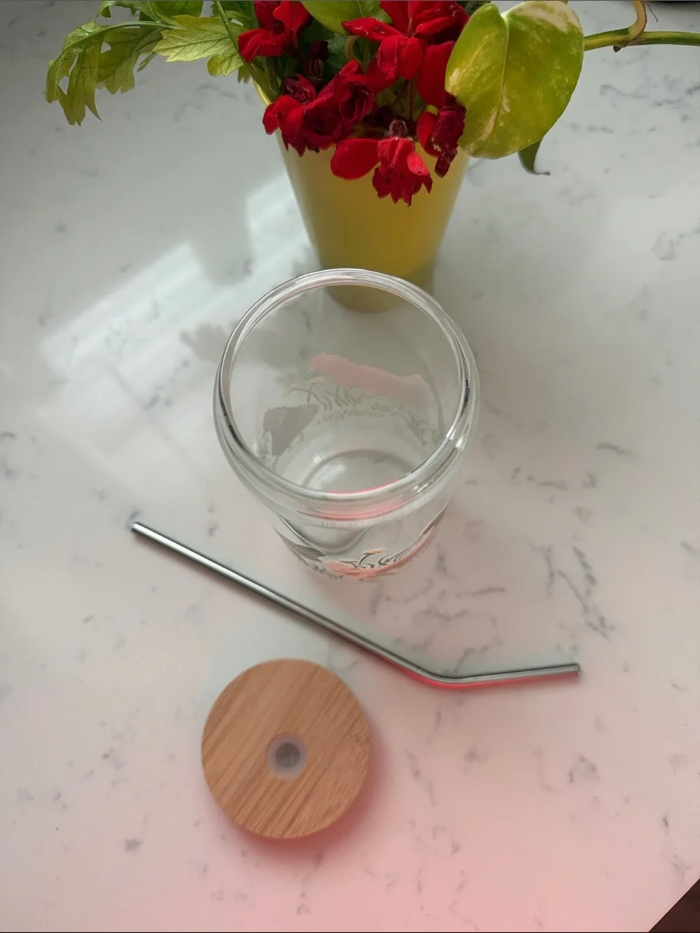 BRAND NEW Glass Chicken Tumbler Wood Lid, Metal Straw, Cup, To Go, Travel Cup